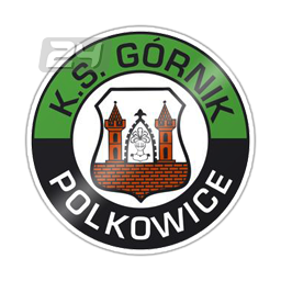 Górnik Polkowice